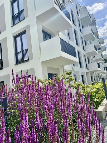 3 Zimmer Terrasse - HAVELUFER Quartier — photo 1